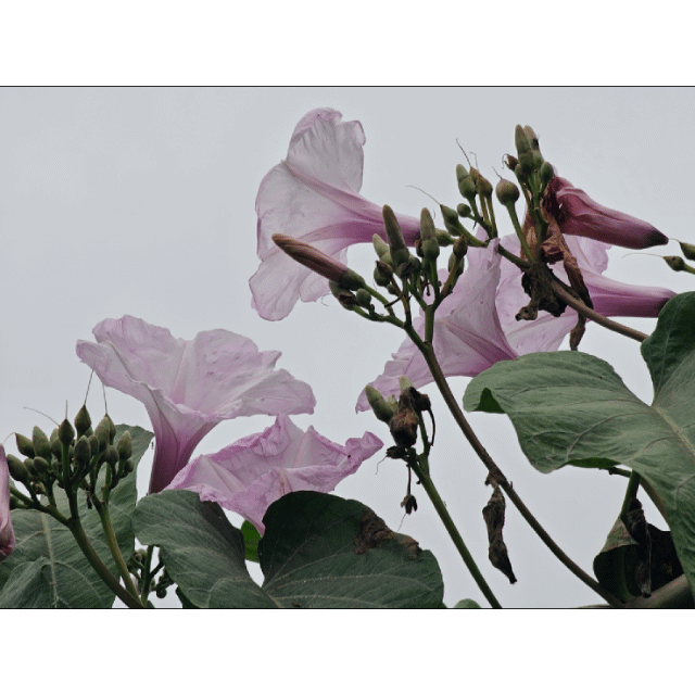 1000330183.gif