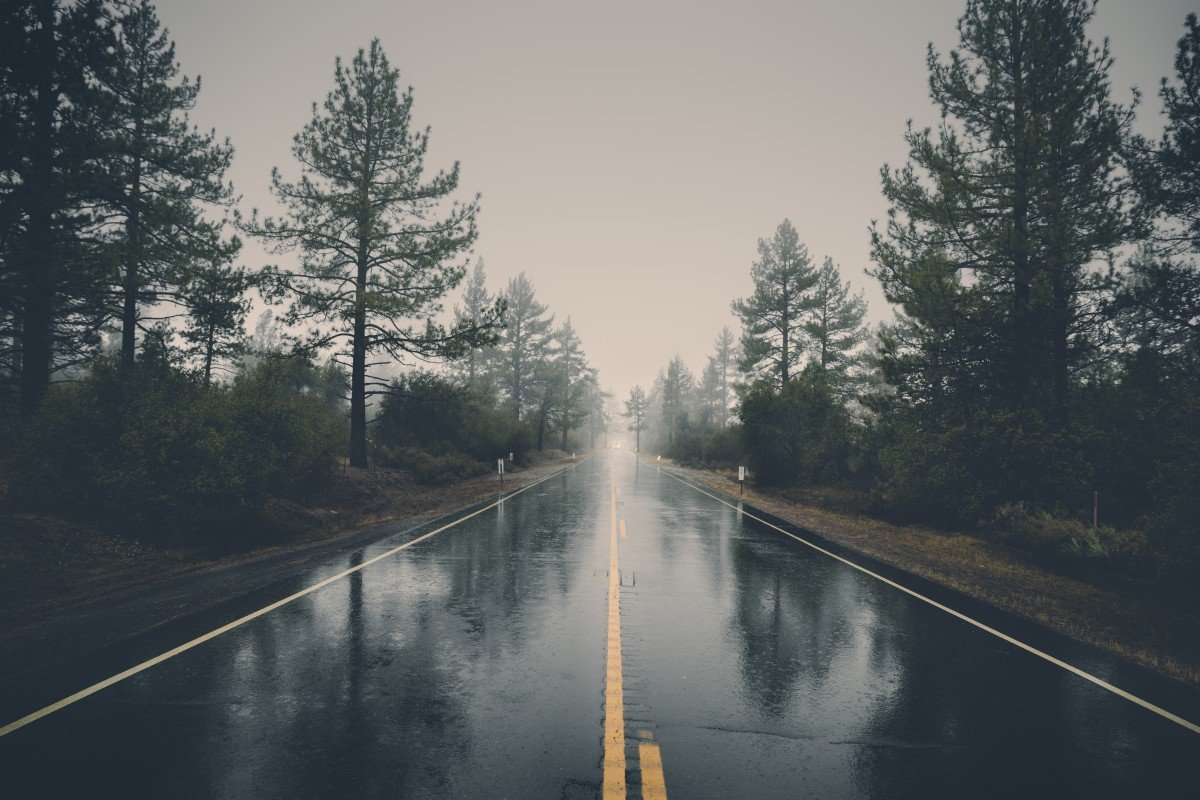 forest_haze_landscape_mystical_nature_rain_road_trees-912166.jpg!d.jpg