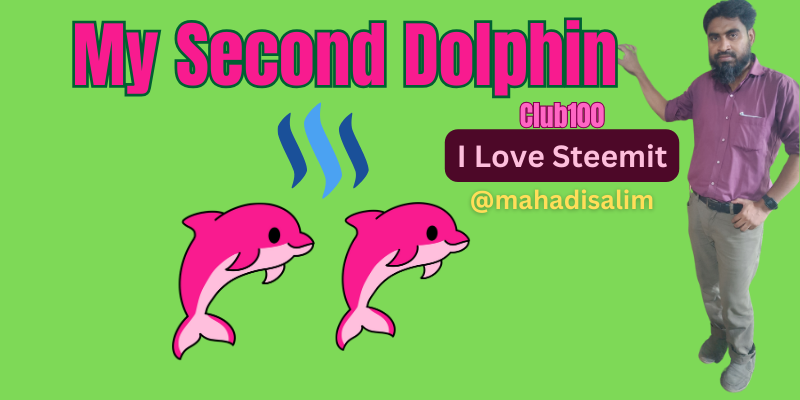 My Second Dolphin.png