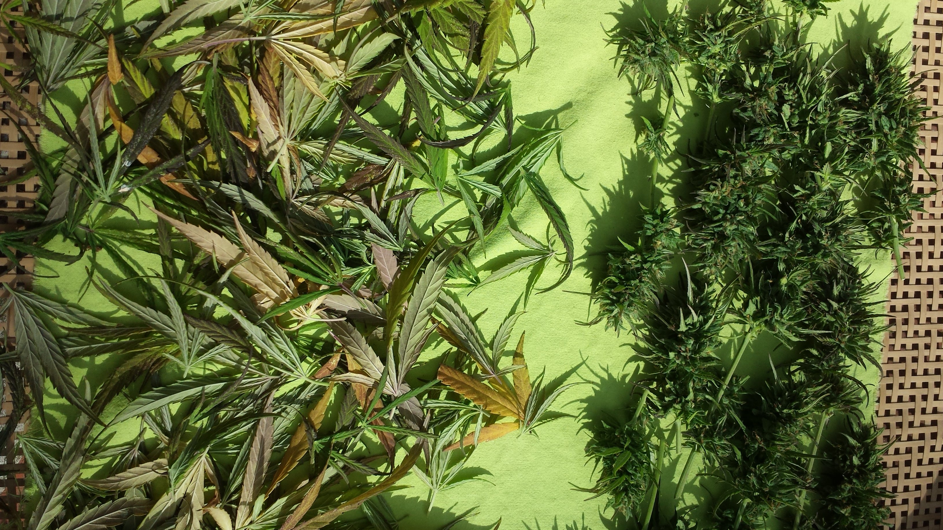 20180909_170025.jpg