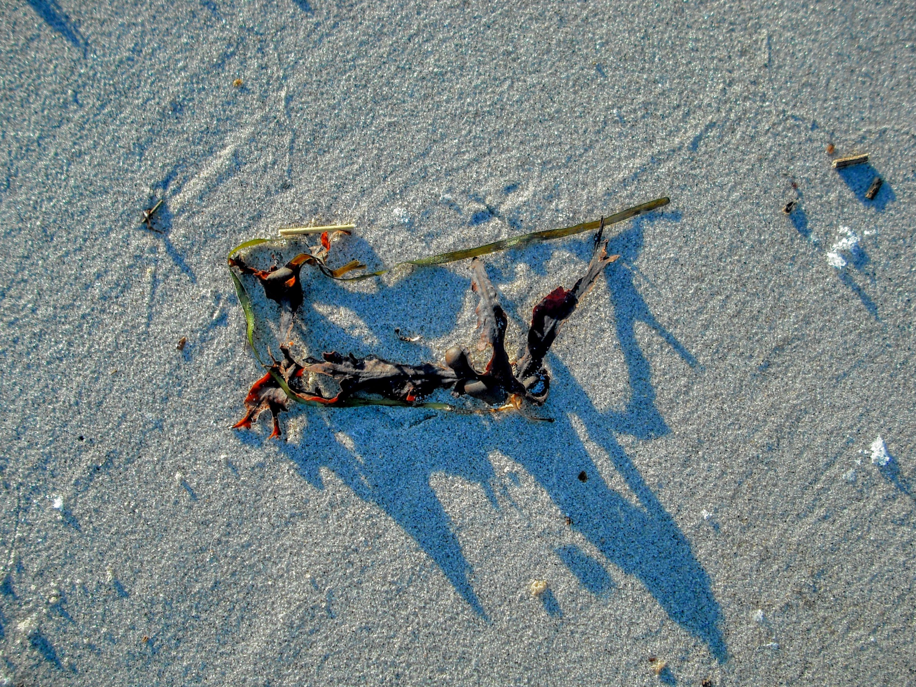 DSCF5257.jpg