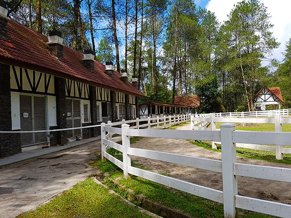 Paddock12.jpg