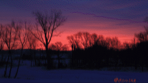 morning sunrise dawn golden-hour landscape skyscape animated-gif SRt12x.gif