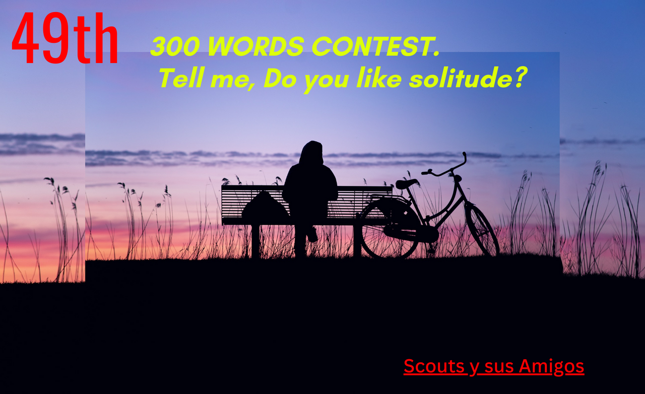 49th 300 WORDS CONTEST. Tell me, D you like solitude.png