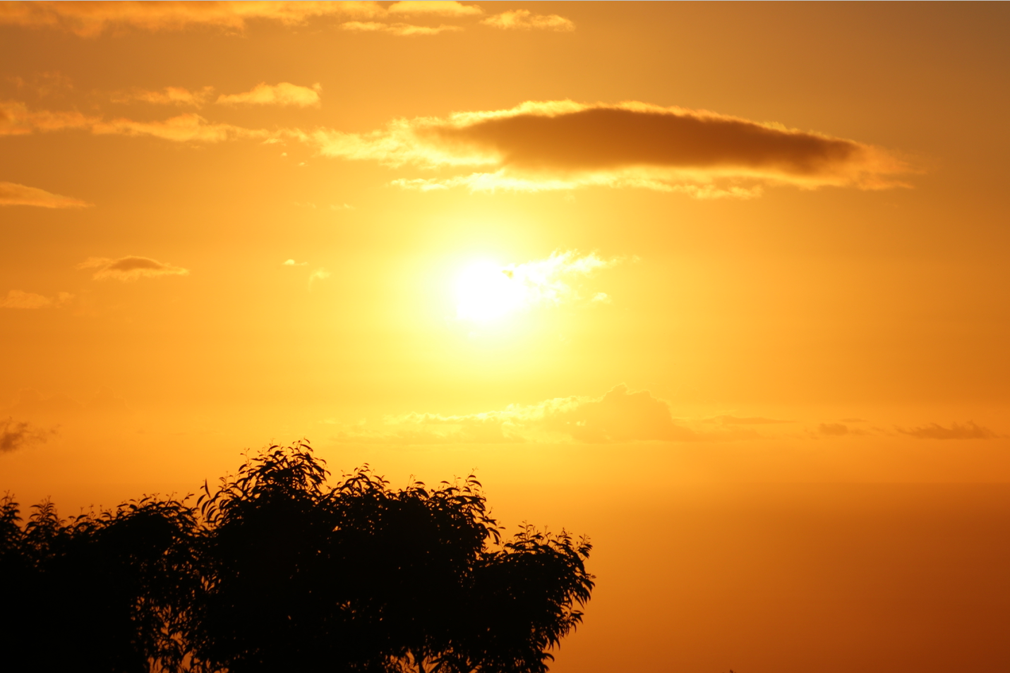 More Photography π· from Up-Country Maui!