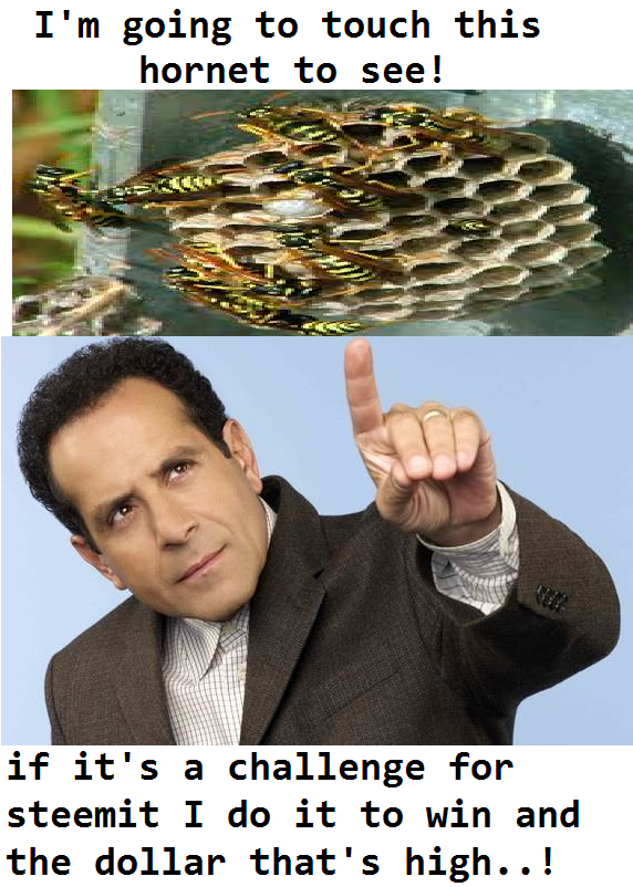 Sin título.png
