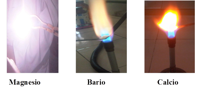 Imagen5.png