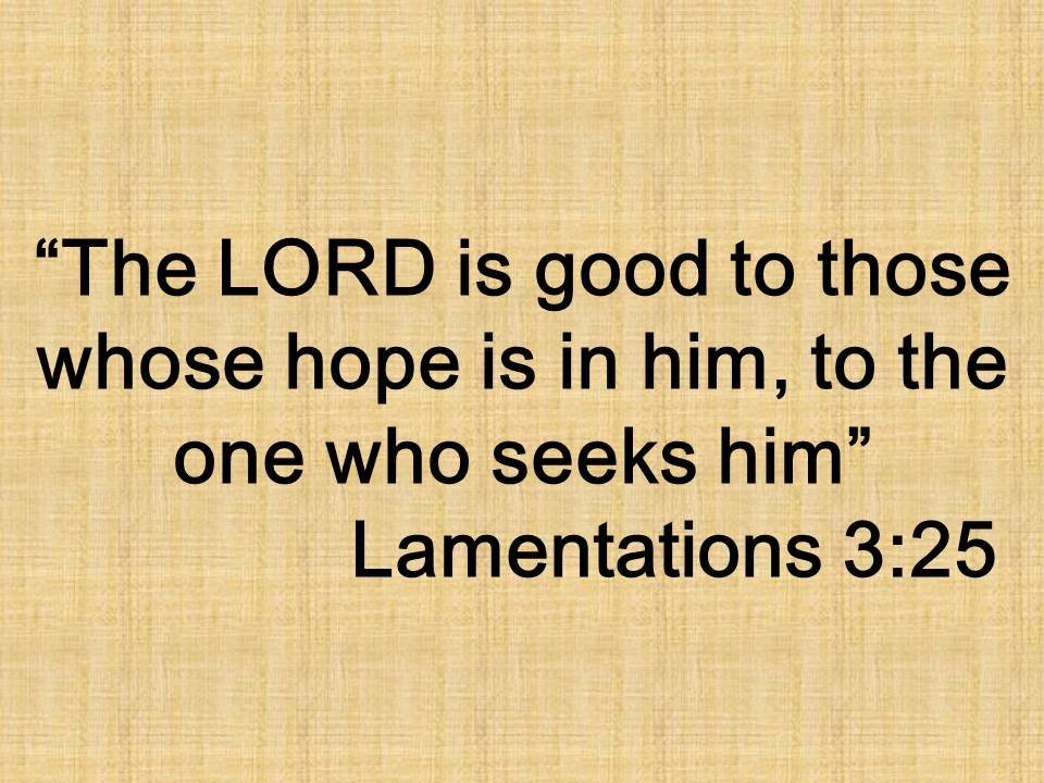 Only God is perfect. The LORD is good to those whose hope is in him, to the one who seeks him. Lamentations 3,25.jpg