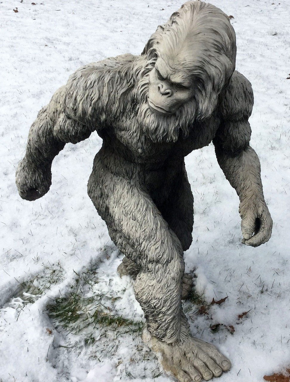 Squatch.jpg