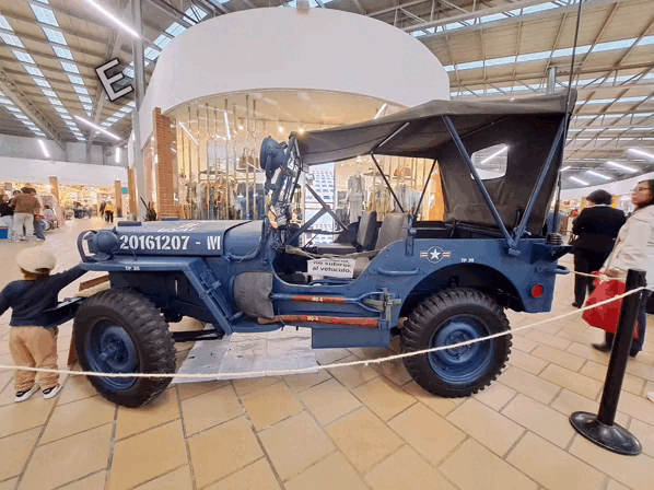 1000017915.gif