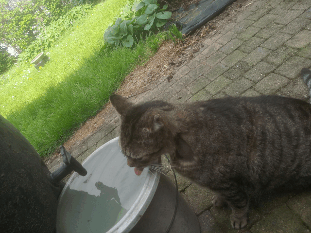 ezgif-586e49ddb97586.gif