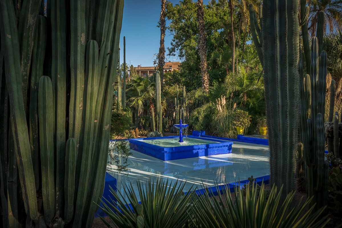 Les Jardins de la Majorelle 26.jpg