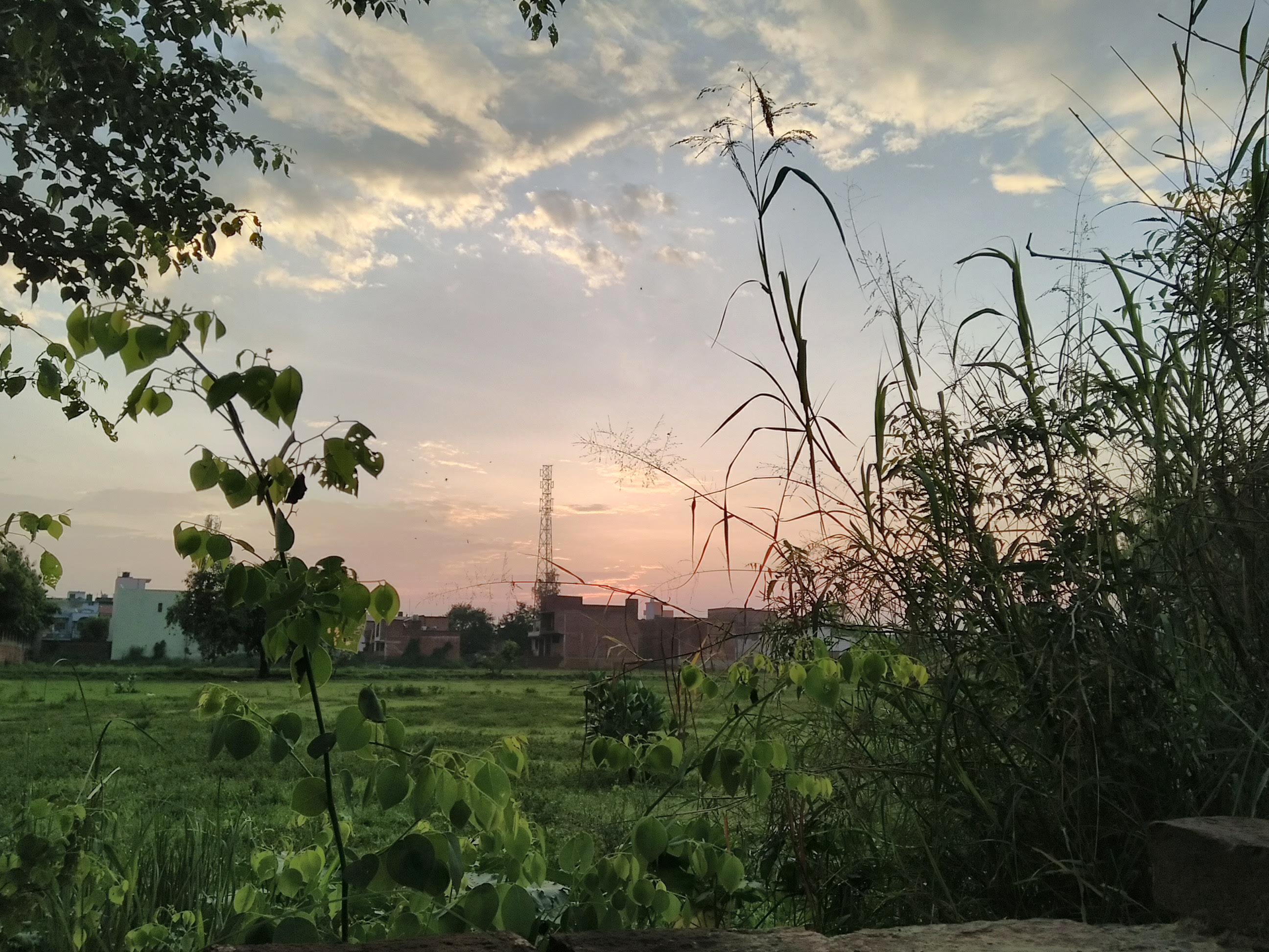IMG_20180721_054154.jpg