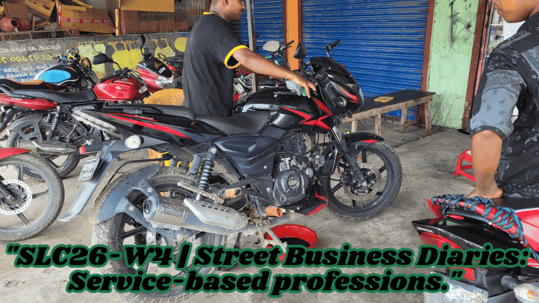 SLC26-W1 Street Business Diaries Street Food and Snacks.(1).gif