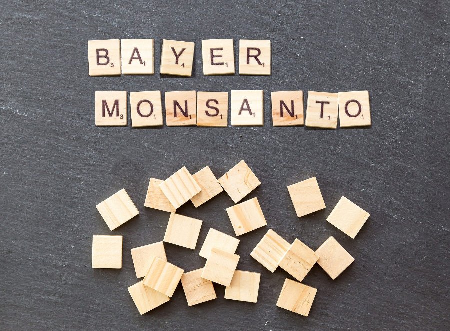 bayer-monsanto.jpg