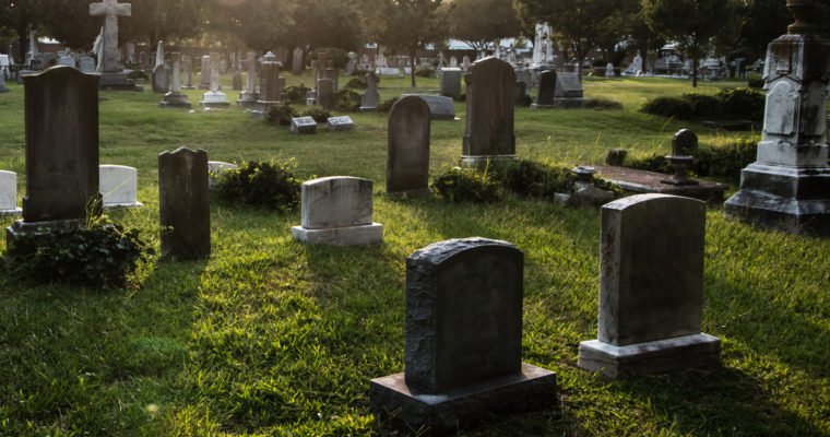 research said that more than 1 000 cryptocurrencies are dead