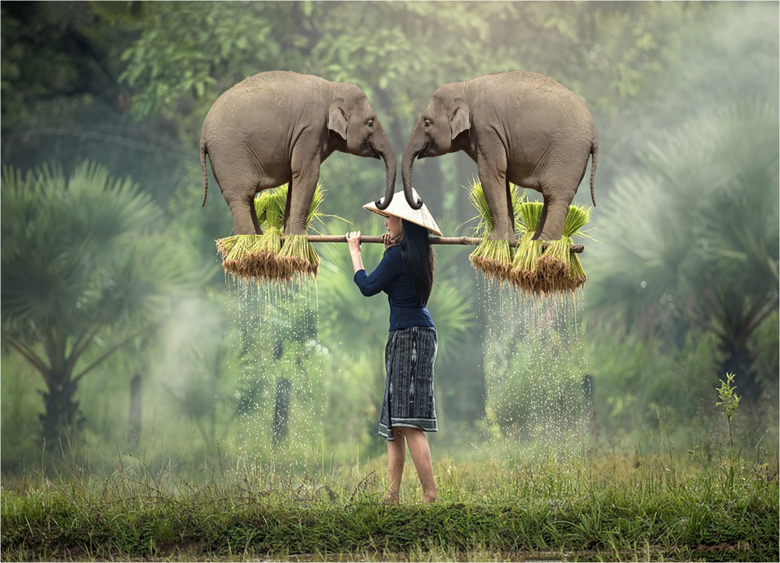 elefante 4.png