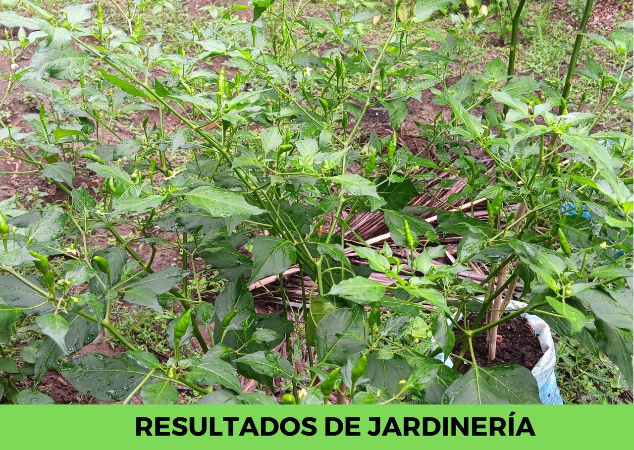 de jardinería.png