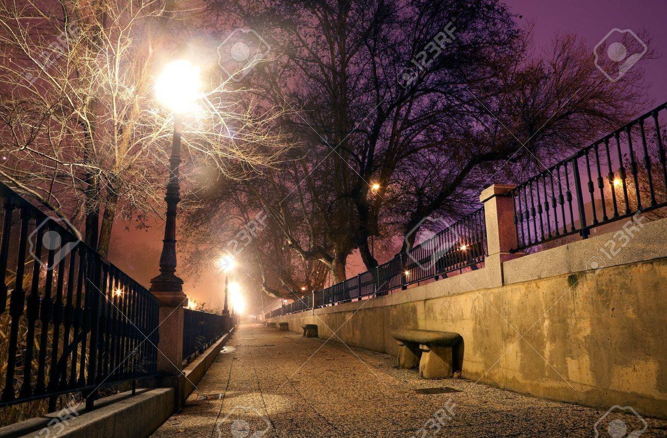 9866887-calle-de-la-ciudad-por-la-noche-con-árboles-y-poste-de-luz.jpg