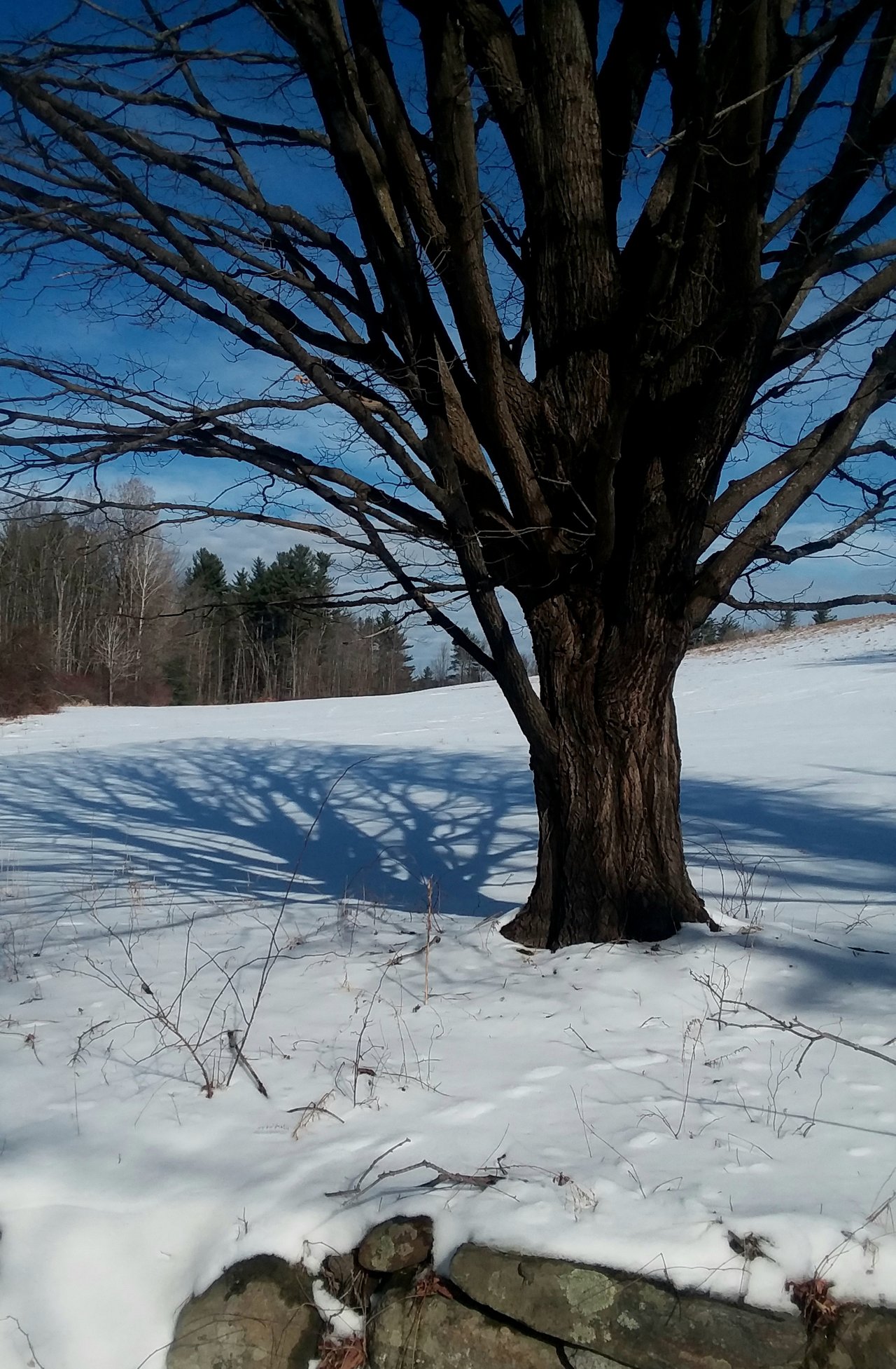 20190207_102614.jpg