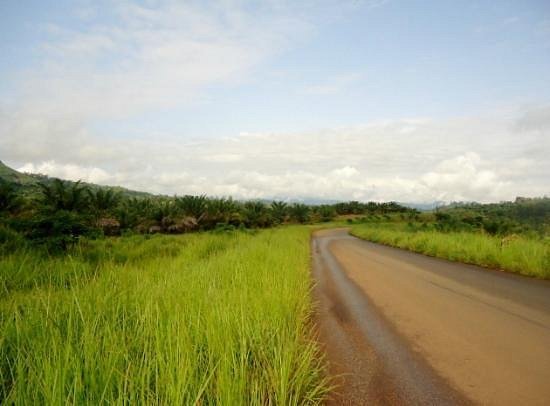 bamenda-ring-road.jpg