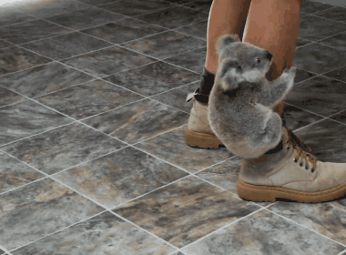 AAPYI0Z - Imgur.gif