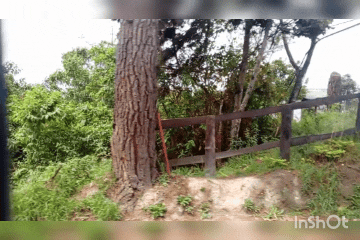 InShot_20250527_094801495.gif