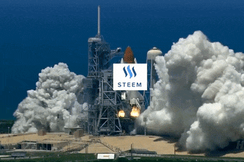 steem to the  moon, told you so.gif