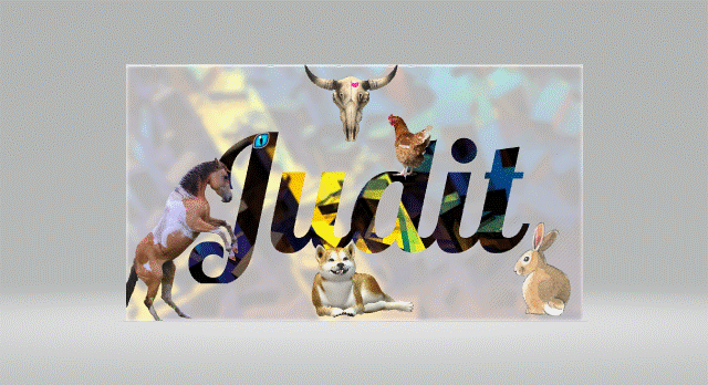 GIFJUDIT.gif