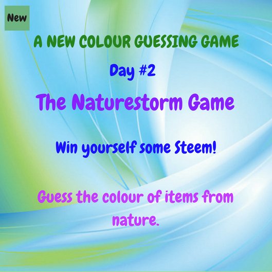 Naturestorm Day #2.jpg