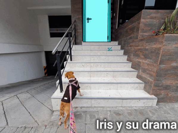1000010655.gif