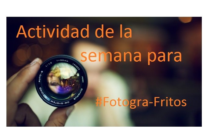actividad de fotogra-frito-640x360.jpeg