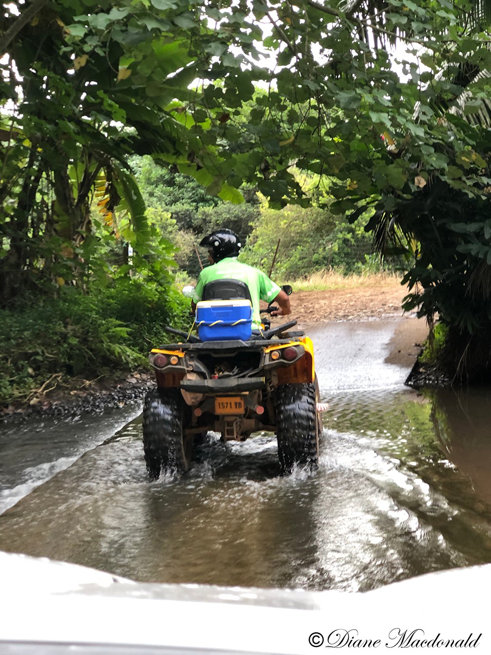 ATV In Ford.jpg