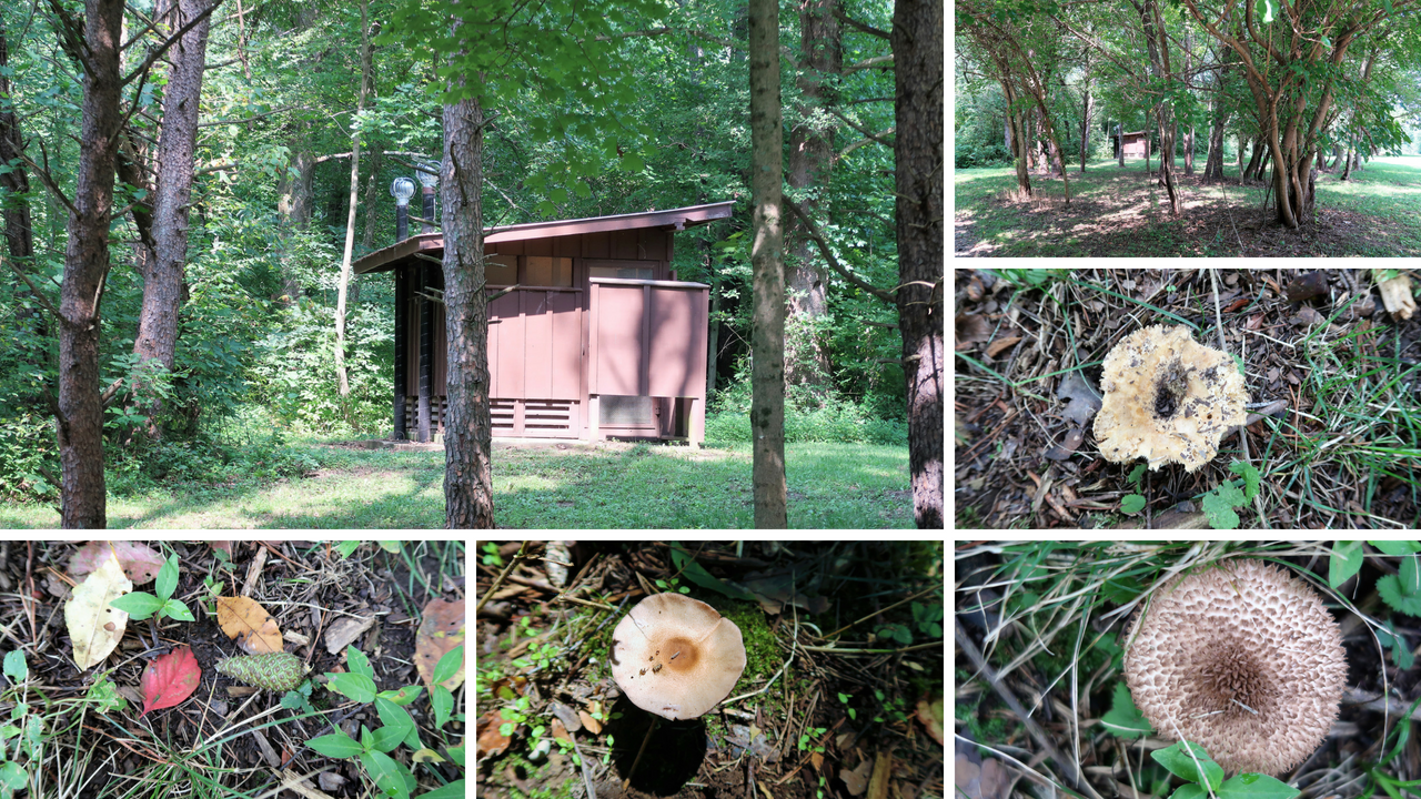 Lieber State Recreation Area at Cagles Mill Lake (6).png