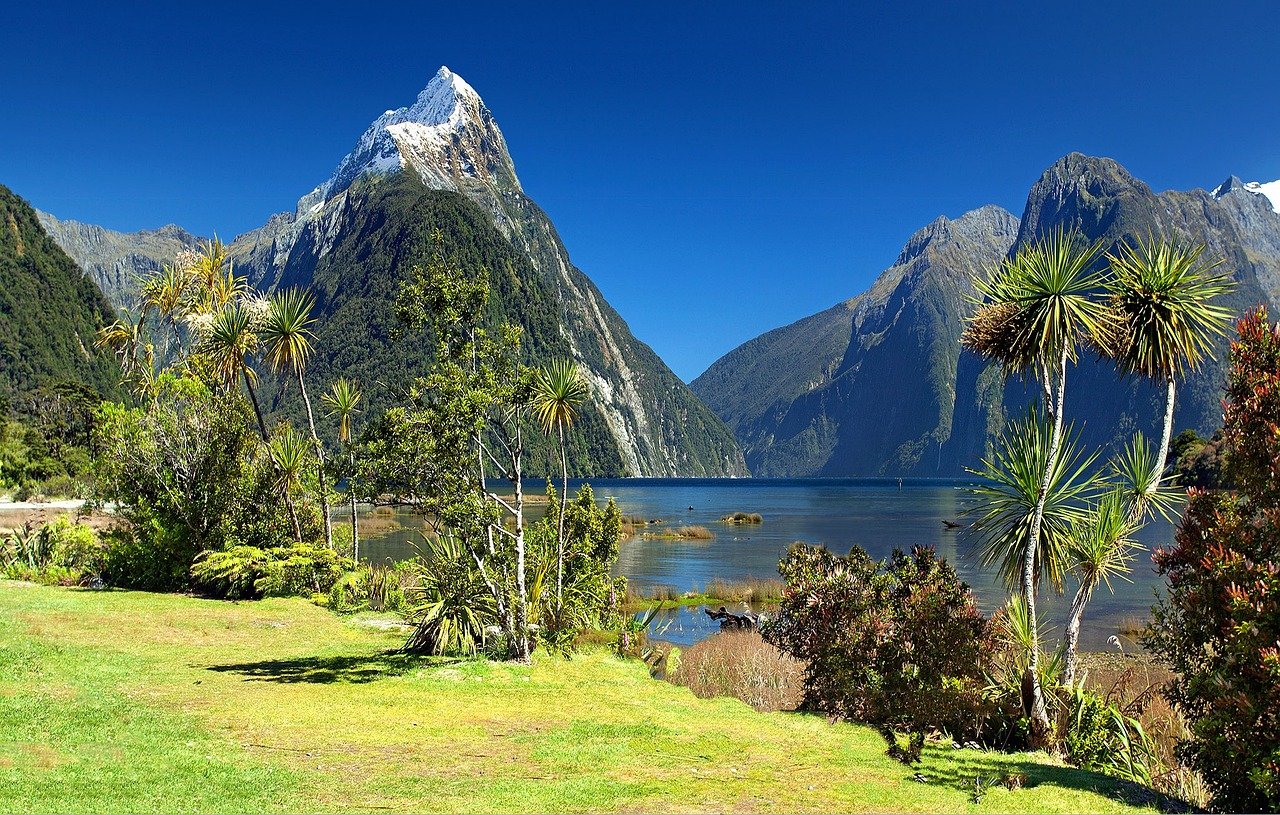 new-zealand-gccfcb35d0_1280.jpg