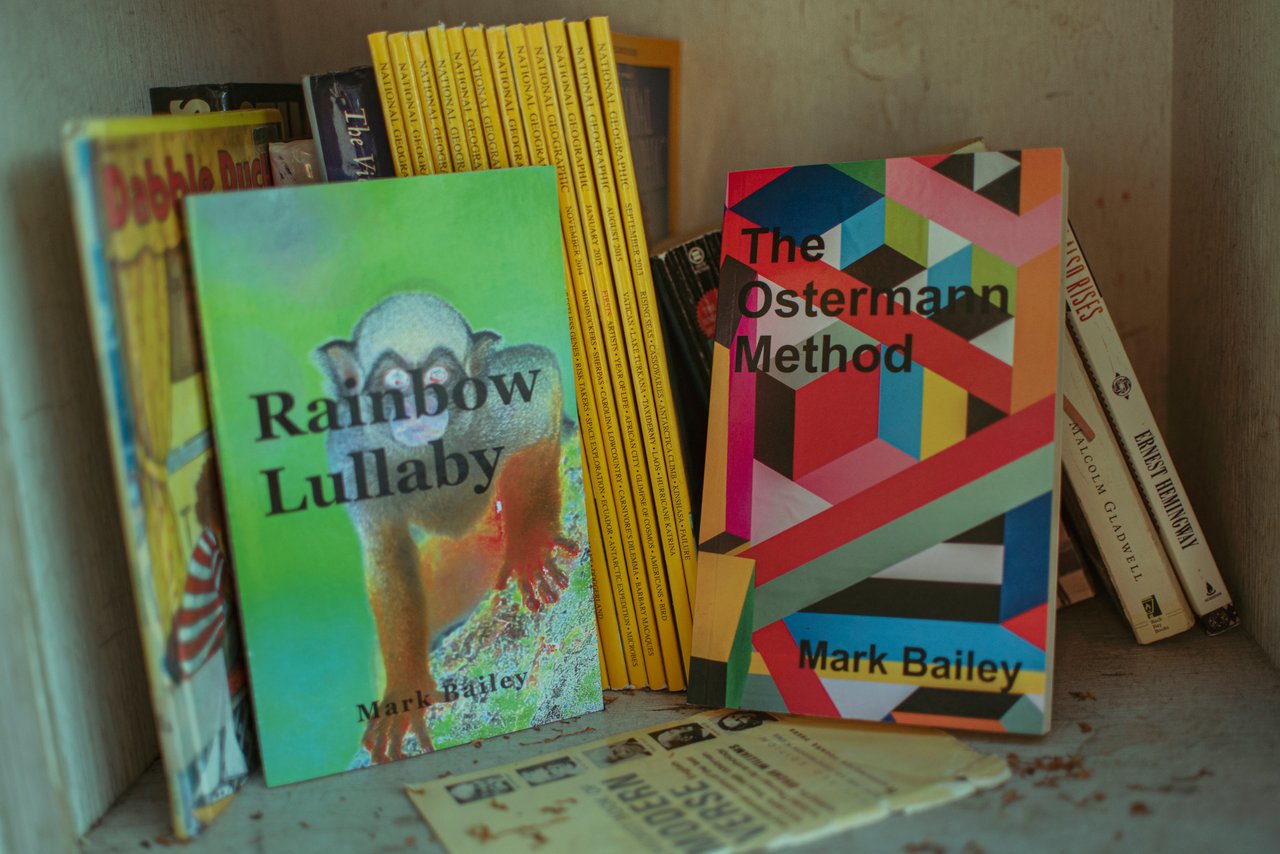 twobookslibrary.jpg