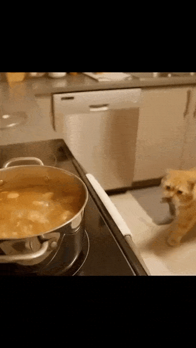 ! кот и мышь (1).gif