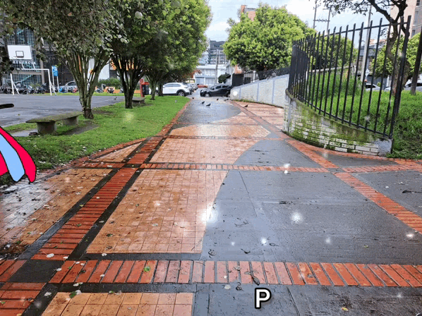 1000031207.gif