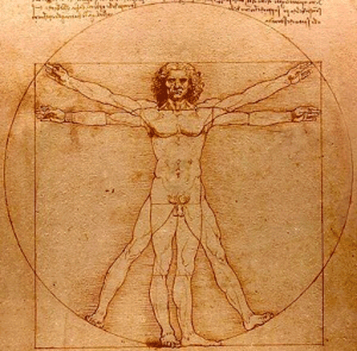 the-vitruvian-man.gif