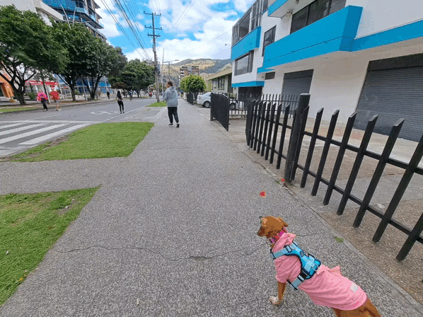 1000036225.gif