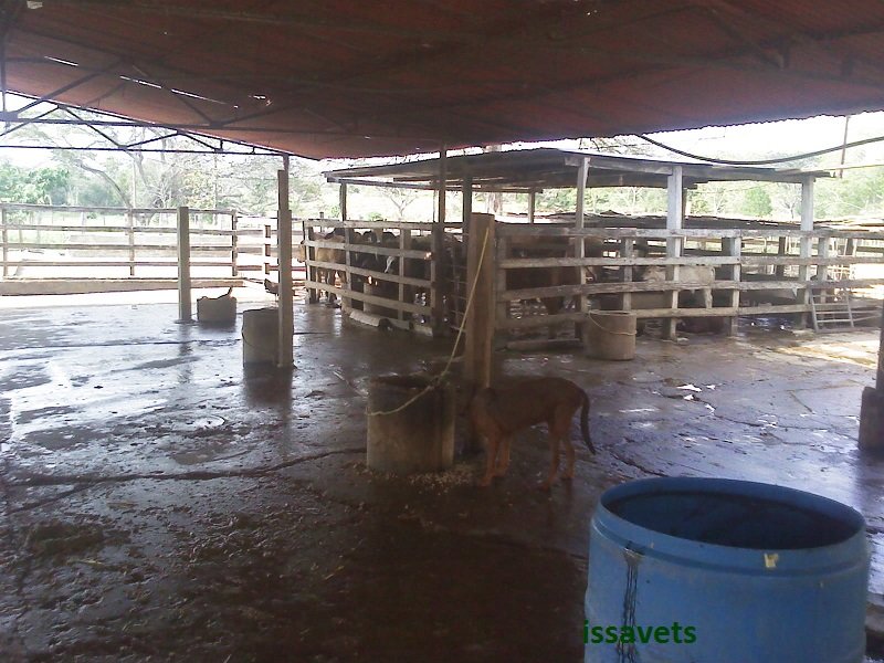 IMG11563.jpg