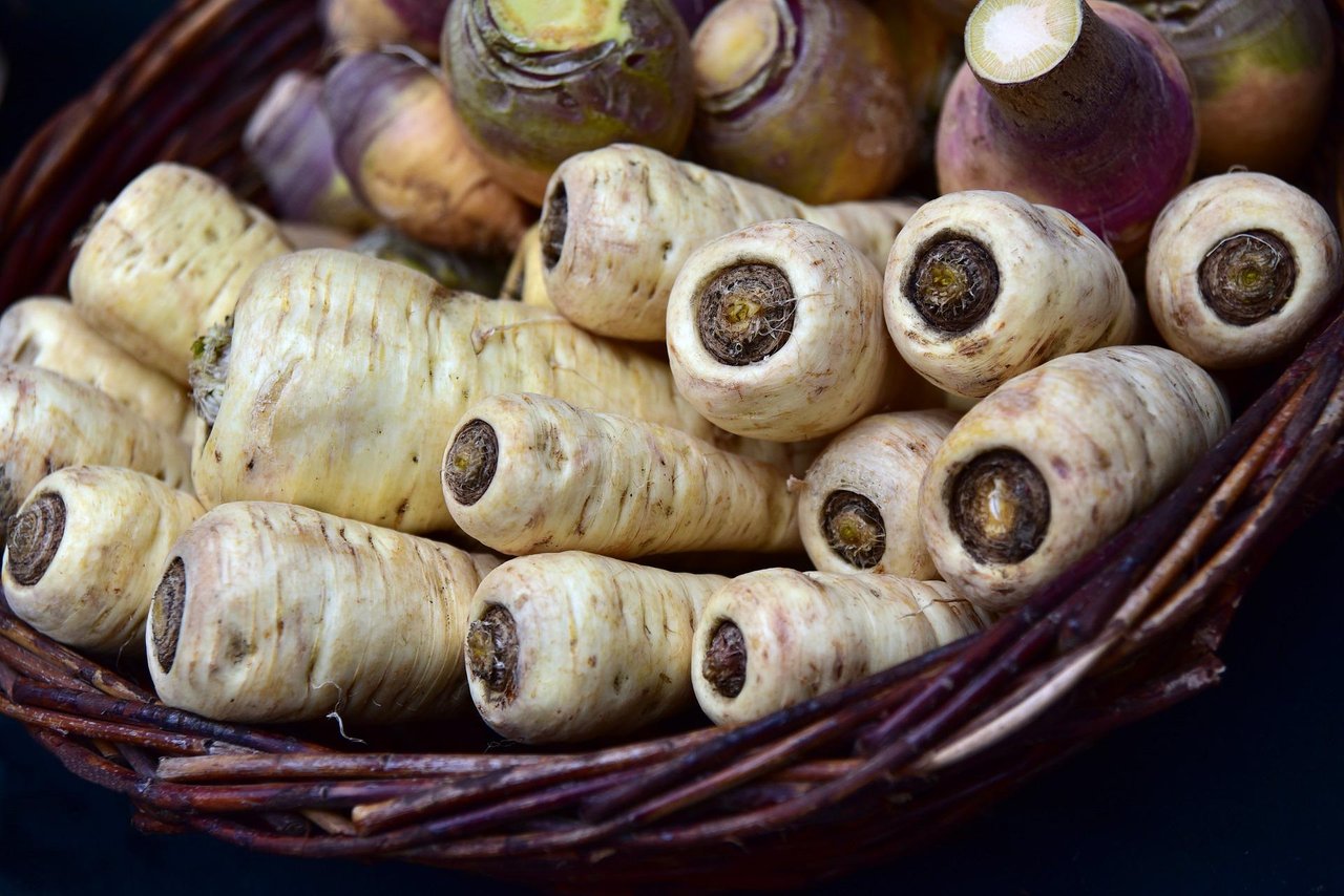 parsnips-3860993_1920.jpg