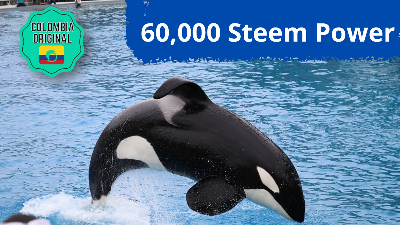 60,000 Steem Power.png