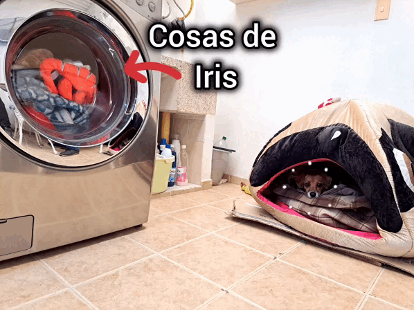 1000038303.gif