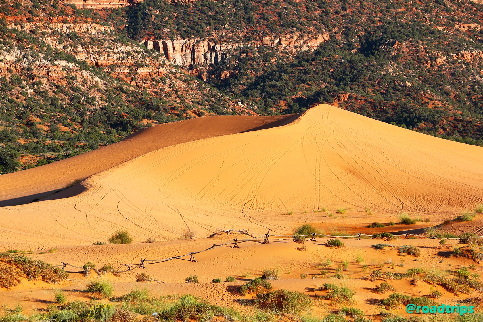 Dunes_2.jpg