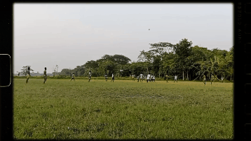 1000371039.gif