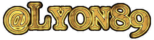 Lyon89 (41).gif