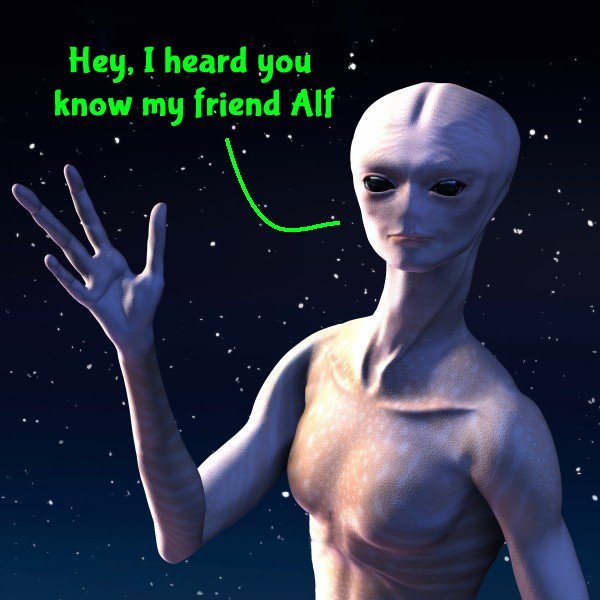 aleinhi_couch_potato.jpg