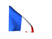 France_180-animated-flag-gifs.gif