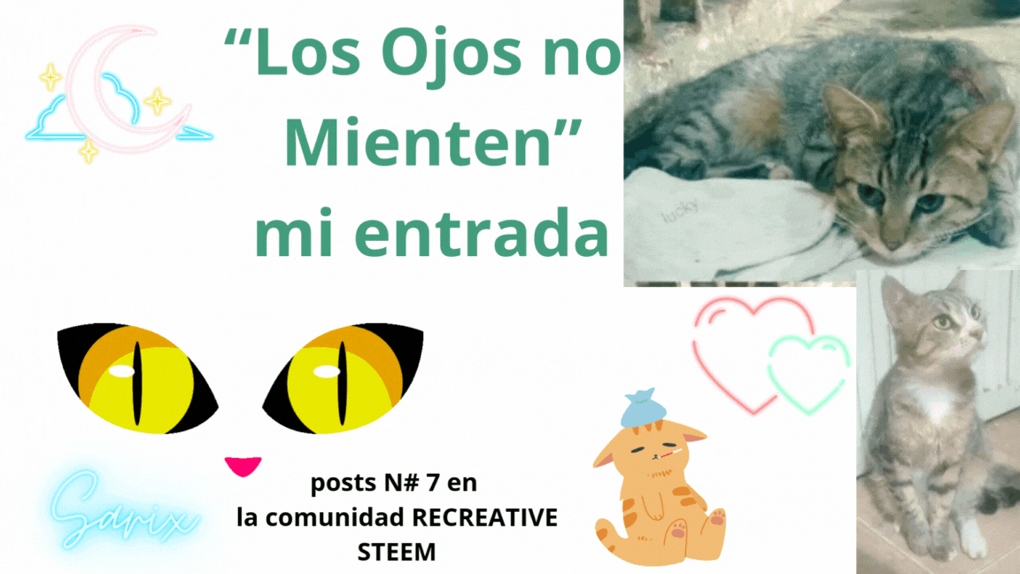 Sigo en escritos perdidos.gif